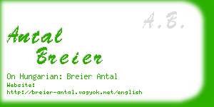 antal breier business card